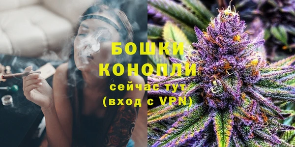 PSILOCYBIN Аркадак