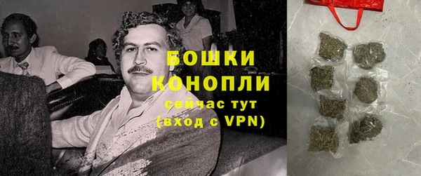 PSILOCYBIN Аркадак