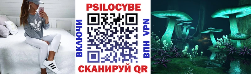 Галлюциногенные грибы MAGIC MUSHROOMS ОМГ ОМГ маркетплейс Первомайск цена
